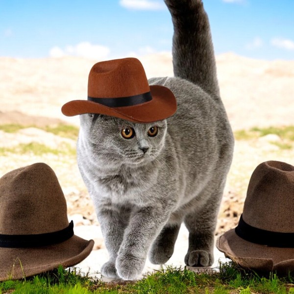 Cowboy Cat Hat Adjustable (S)