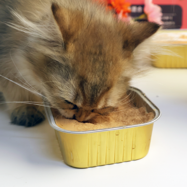 Miso Cat  Pate - Chicken & Rabbit For All Age Cats 100g | Cat Wet Food